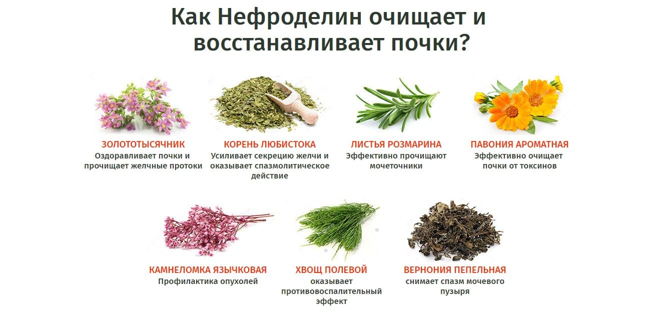 Эффективно удалить. Нефроделин. Препараты для восстановления работы почек. Золототысячника, корень любистока и листья розмарина.. Как восстановить почки.