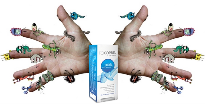 Преимущества препарата Toxorbin (Токсорбин) от глистов и гельминтов