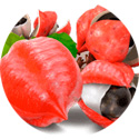 ягоды гуараны в составе препарата